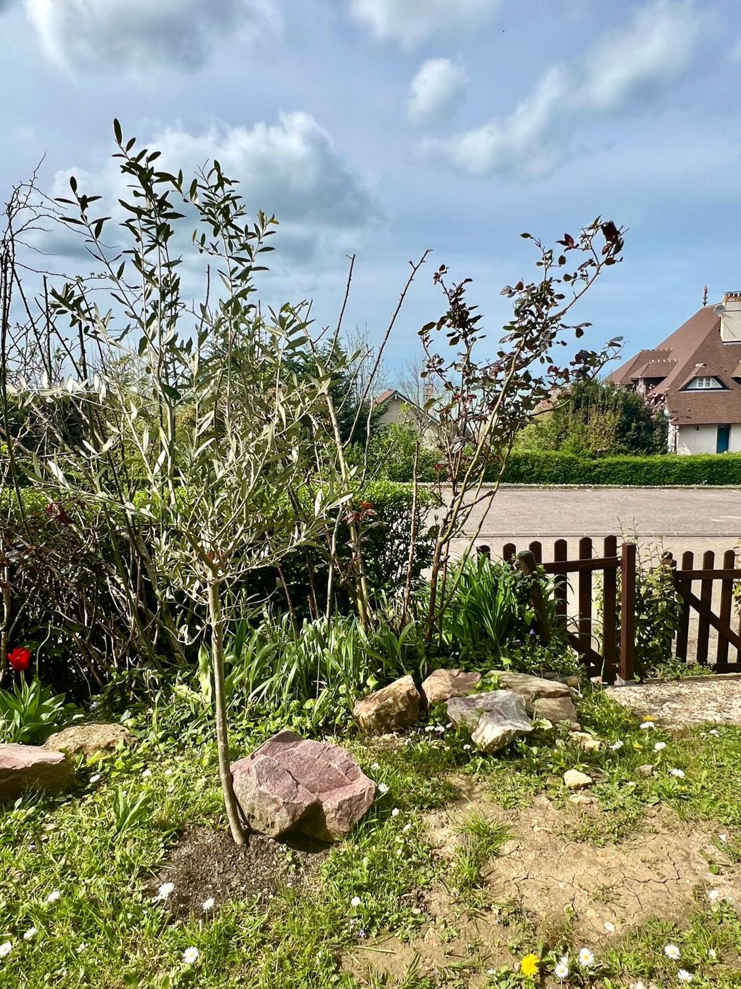 Grand Rez De Jardin-Terrasse Avec Vue Sur La Mer - 2 Chambres Blonville-sur-Mer Eksteriør bilde